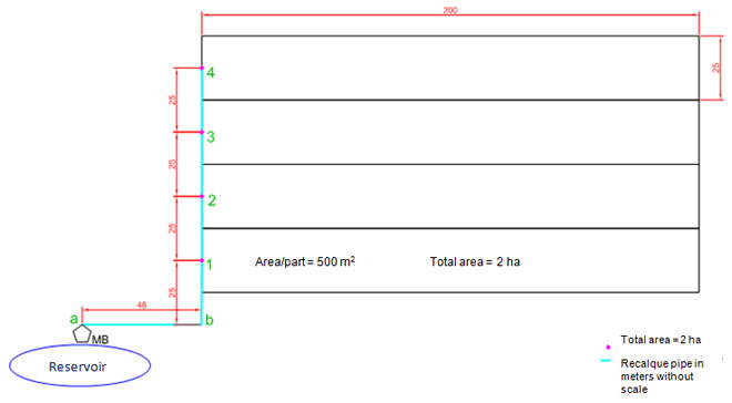 irrigated district with 4 blocks